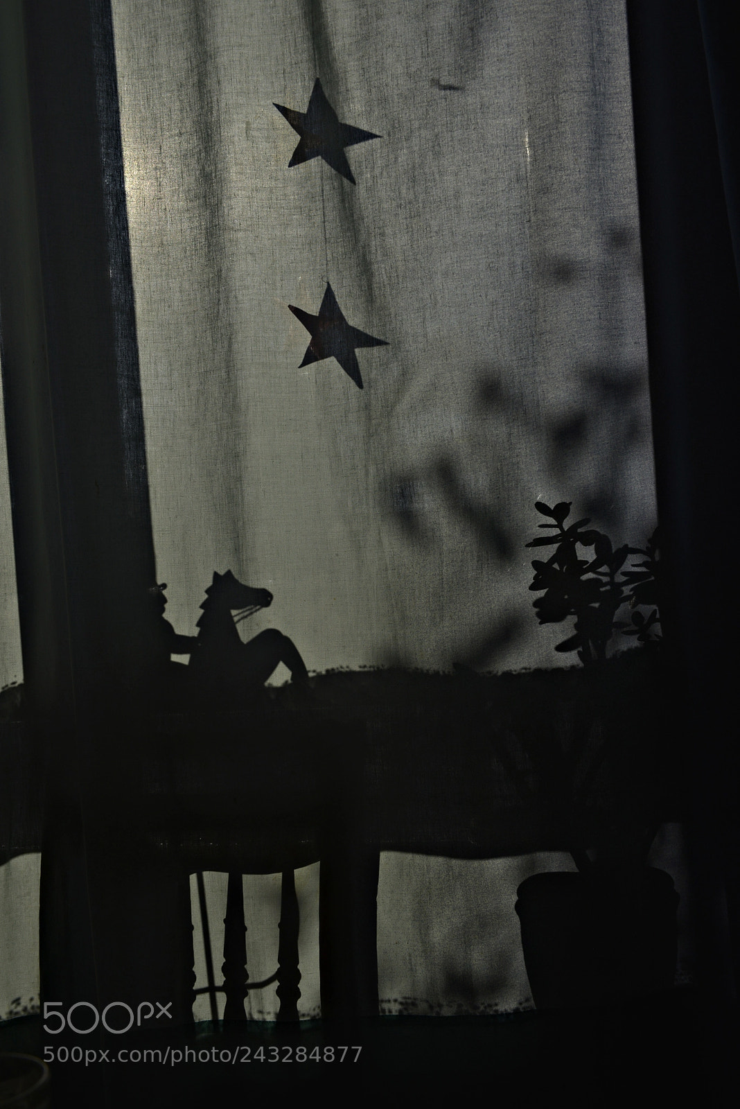 Nikon D800 sample photo. Starsinthewindow photography