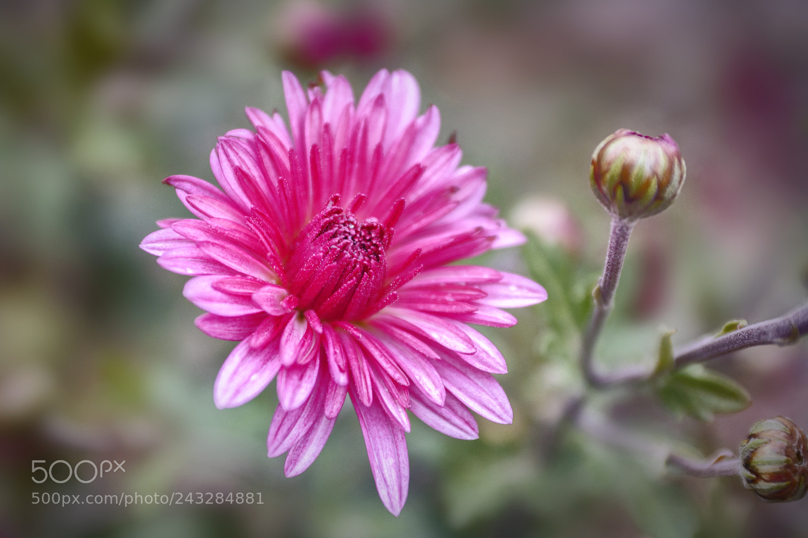 Nikon D90 sample photo. ... photography