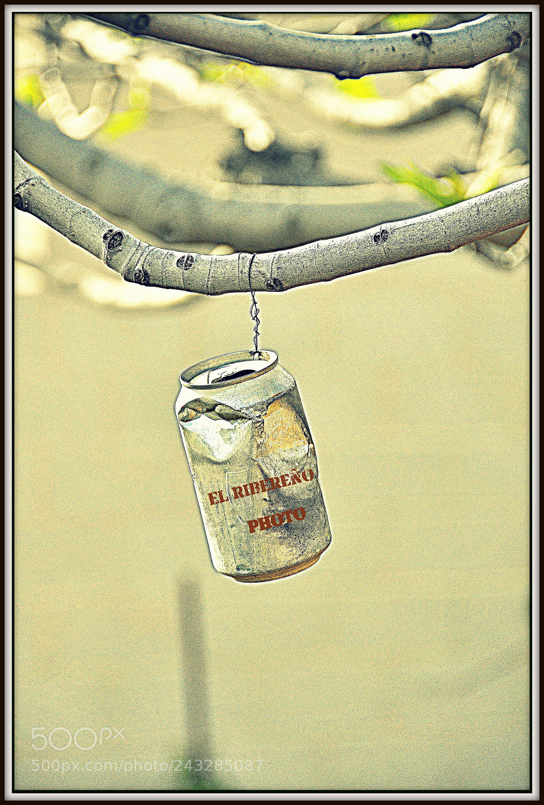 Nikon D90 sample photo. Cecdccc o photography