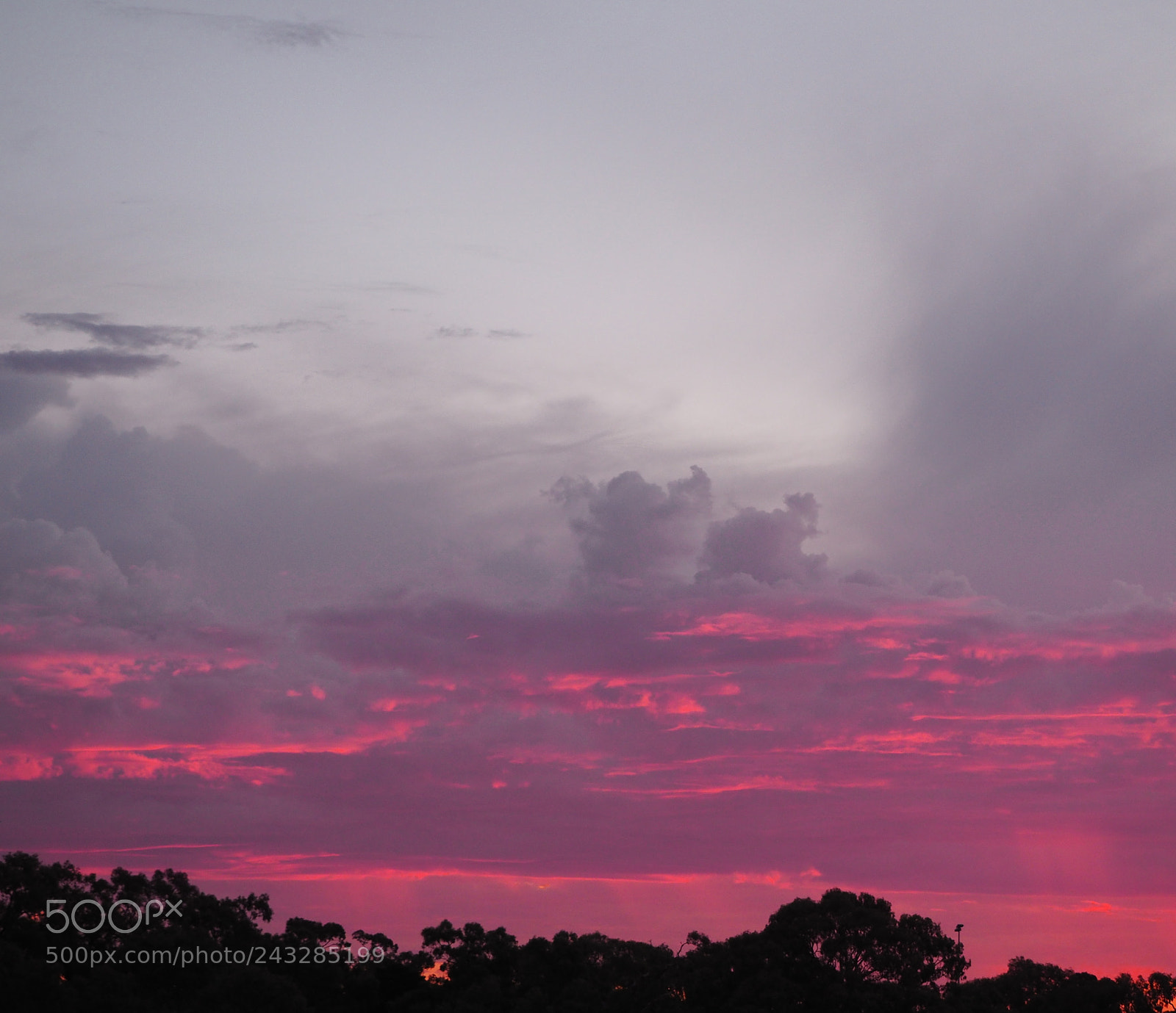 Olympus OM-D E-M10 II sample photo. Pink sky at night photography