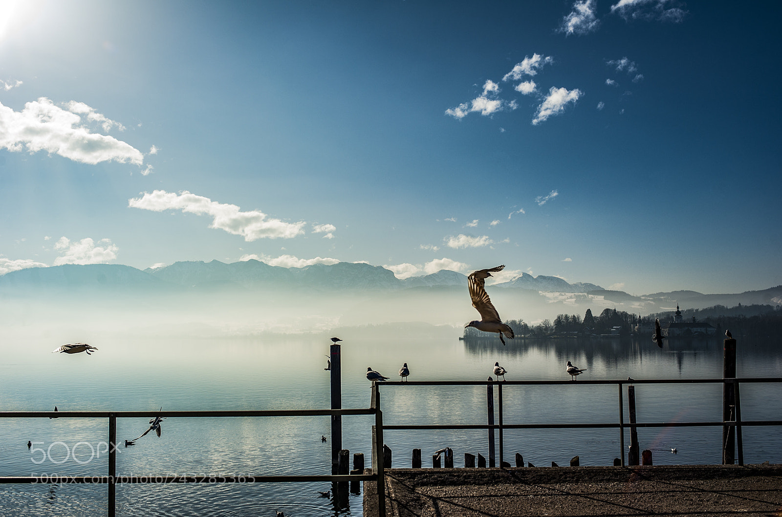 Nikon D700 sample photo. Fly photography