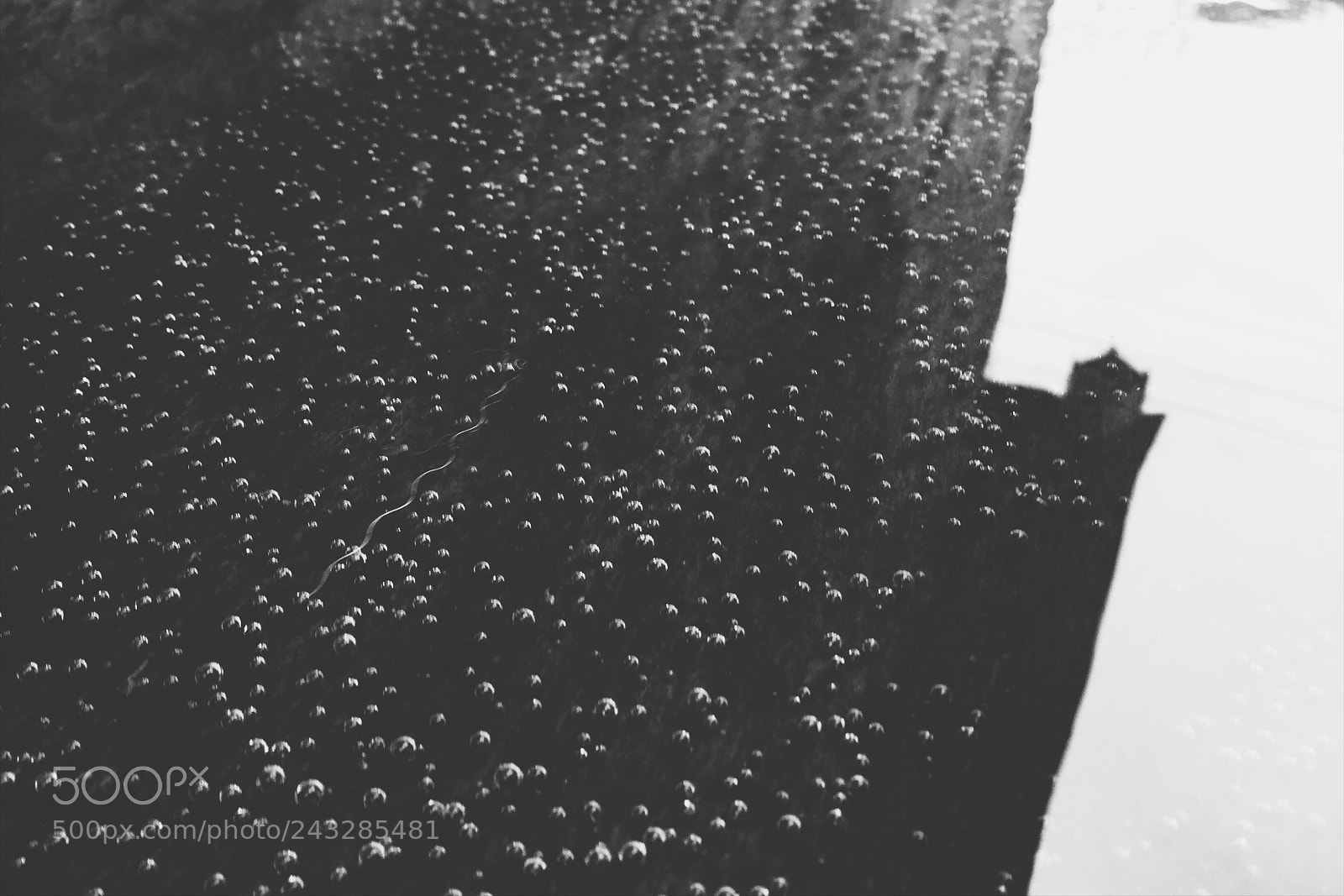 Apple iPhone 6 sample photo. Untitled photography