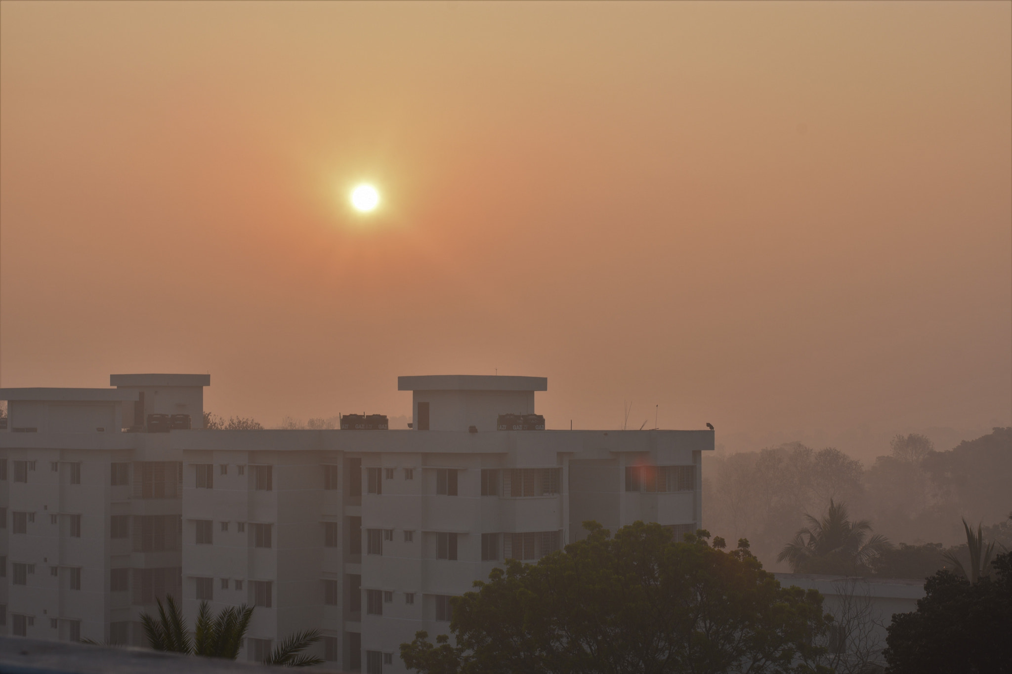 Nikon D3400 + Nikon AF-S Nikkor 50mm F1.8G sample photo. Winter morning with new hope photography