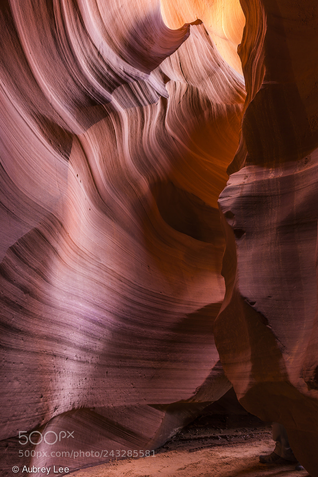 Nikon D610 sample photo. I see faces photography
