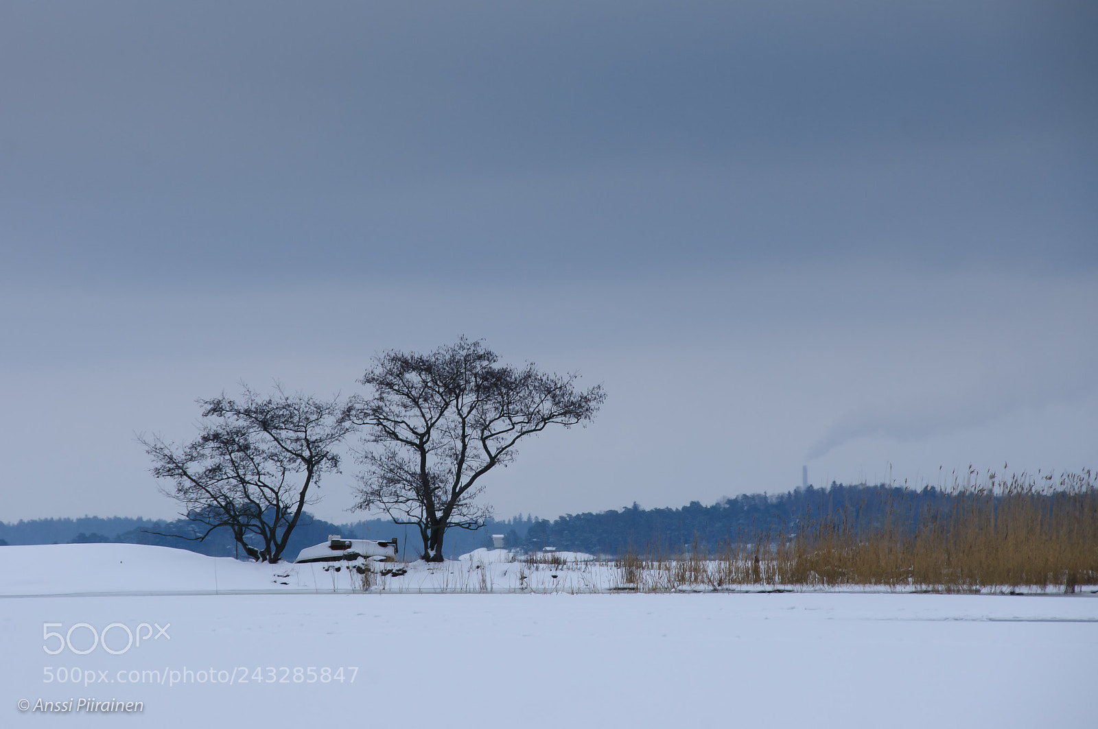 Nikon D300S sample photo. Snowcapped photography