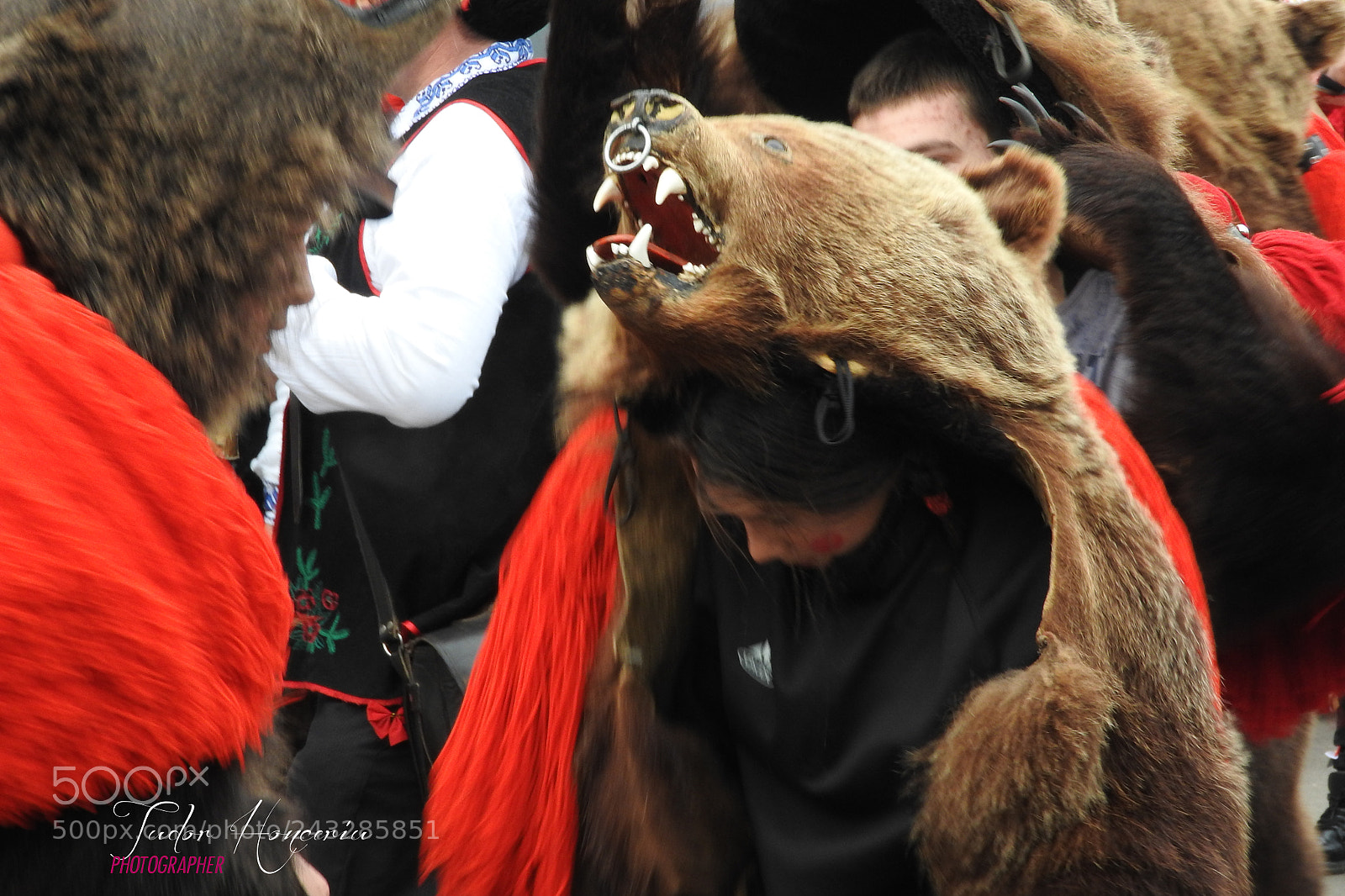 Nikon Coolpix P610 sample photo. Dance of bears ... photography