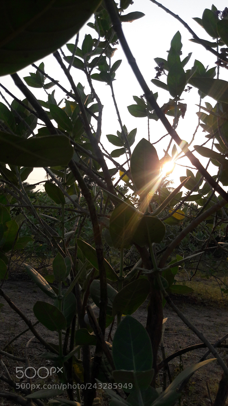 Samsung Galaxy J7 sample photo. Untitled photography