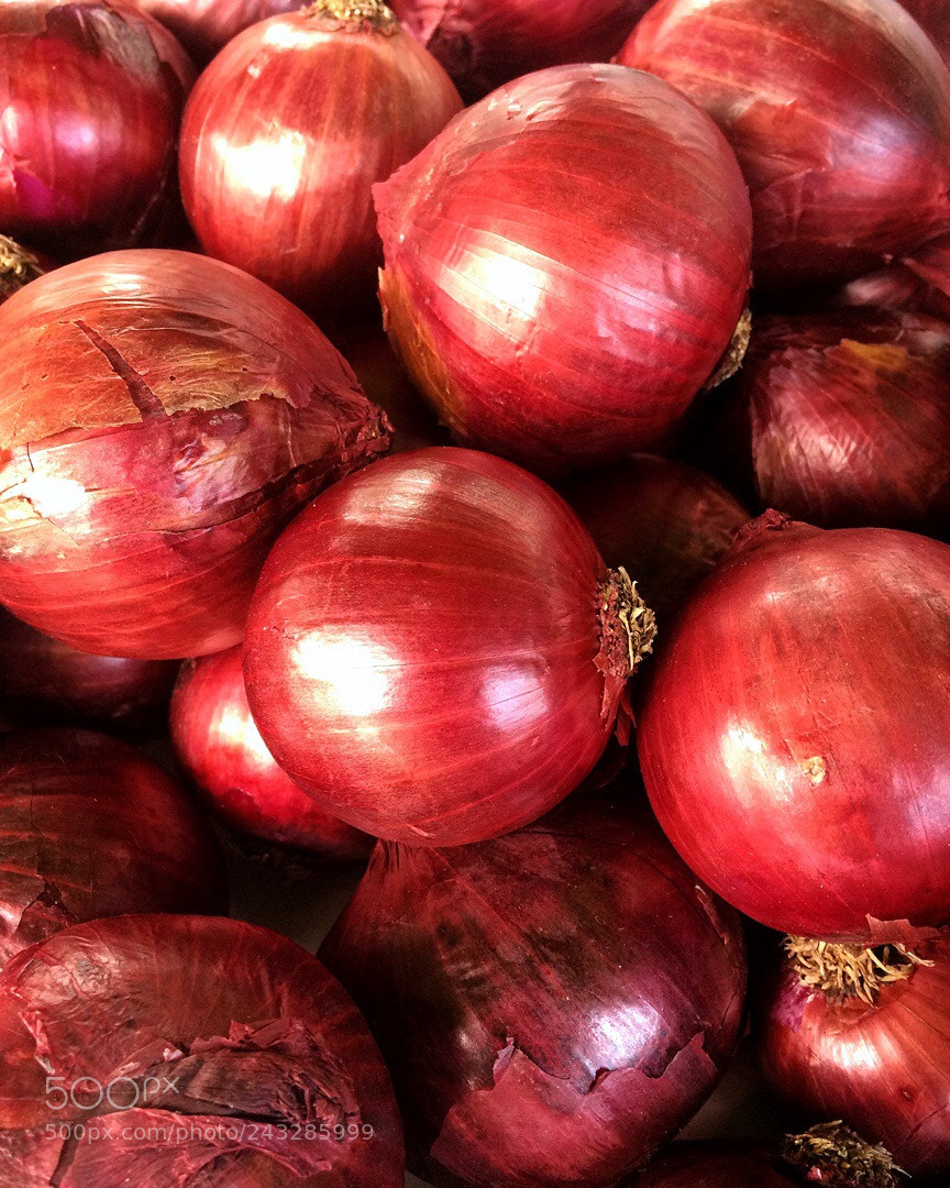 Apple iPhone 5s sample photo. Untitled photography