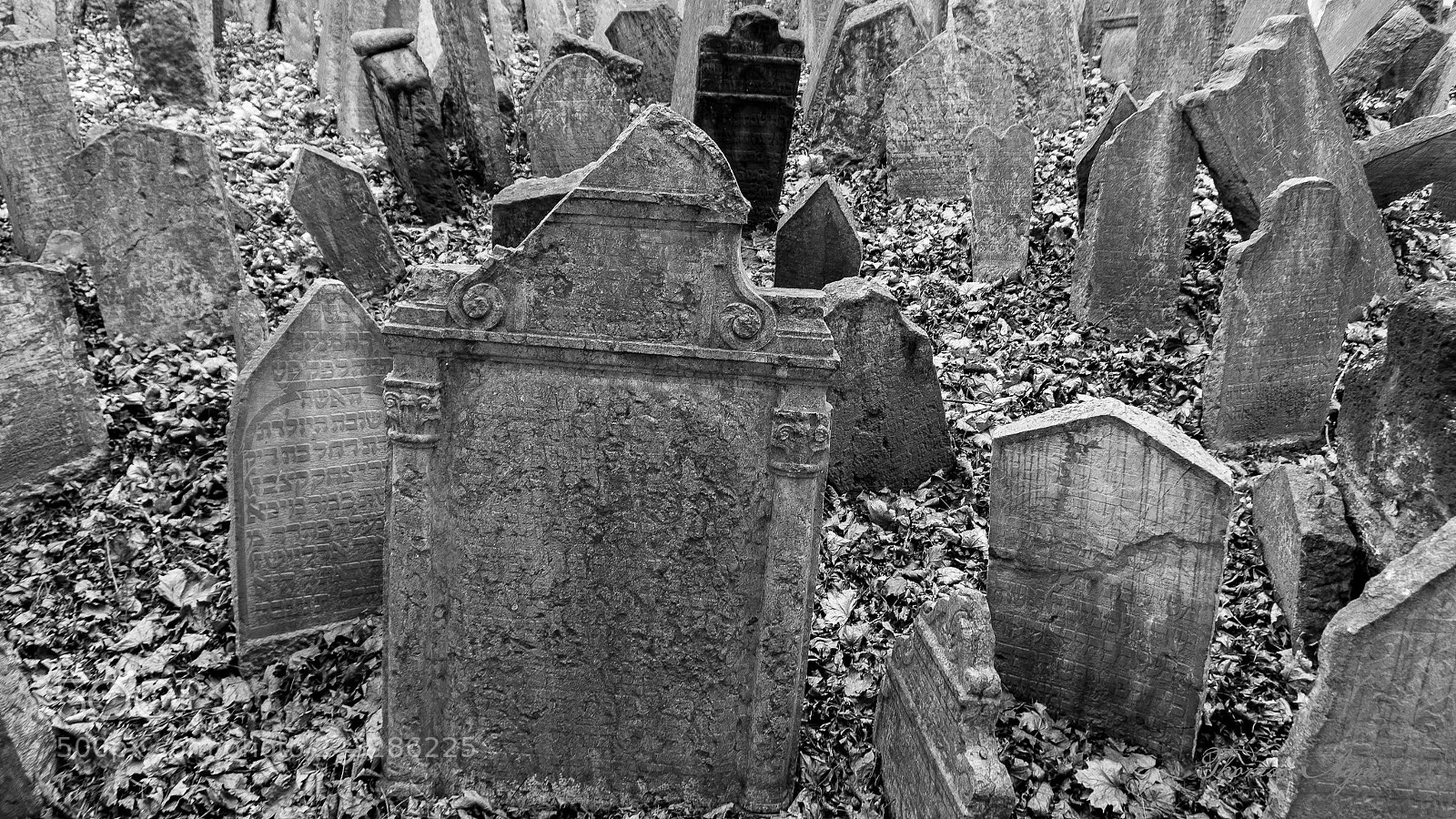 Sony Alpha NEX-6 sample photo. Old jewish cemetery in photography