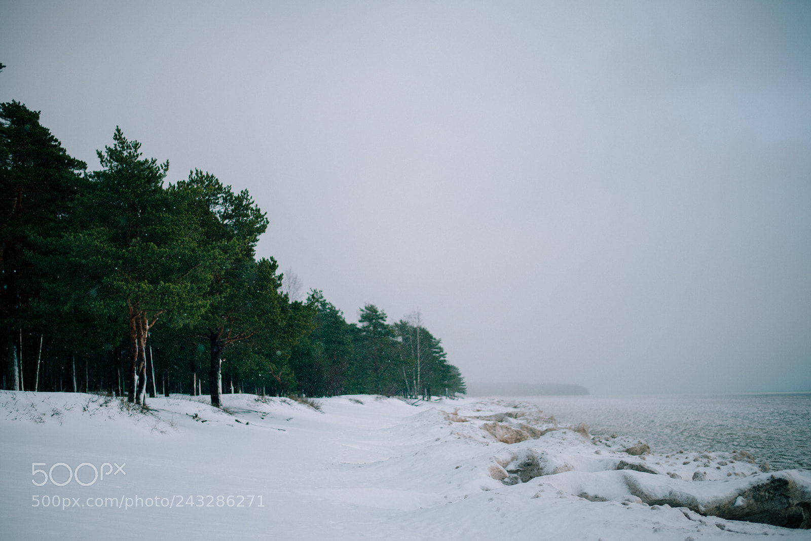 Nikon D600 sample photo. Cold shore photography