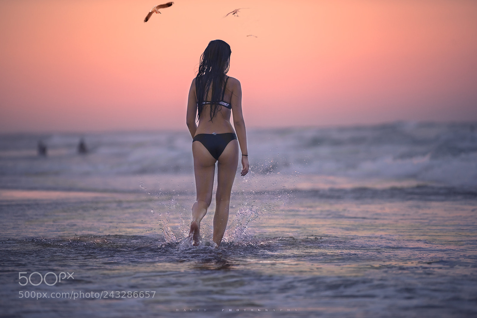 Nikon D810 sample photo. Untitled photography
