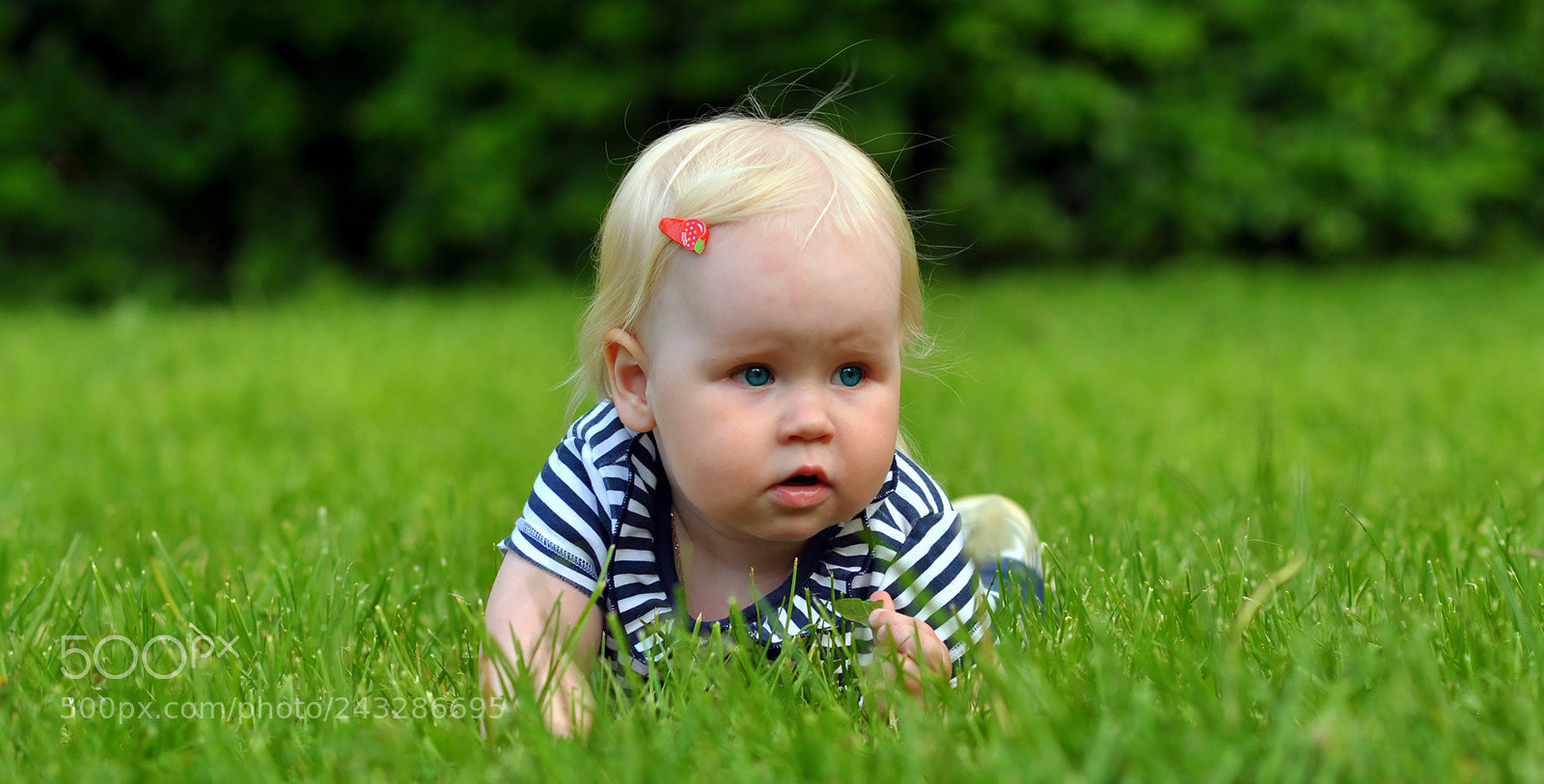 Nikon D90 sample photo. In ambush photography