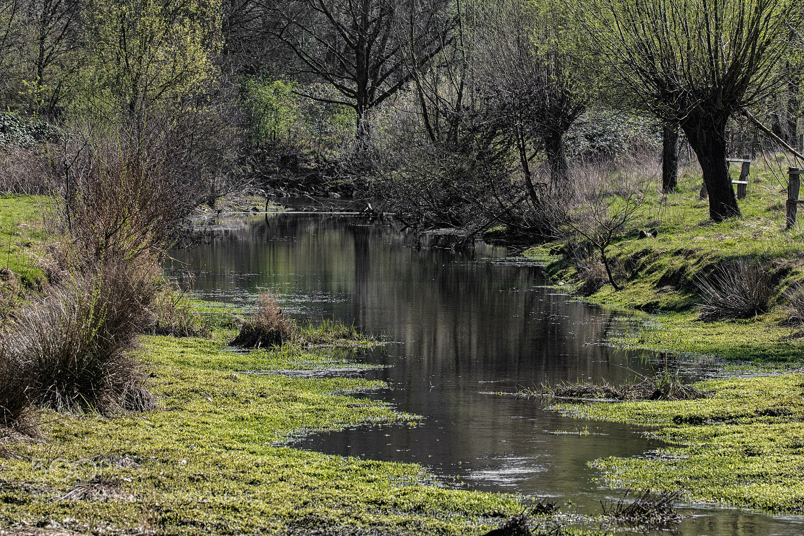Canon EOS 7D Mark II sample photo. Idylle photography