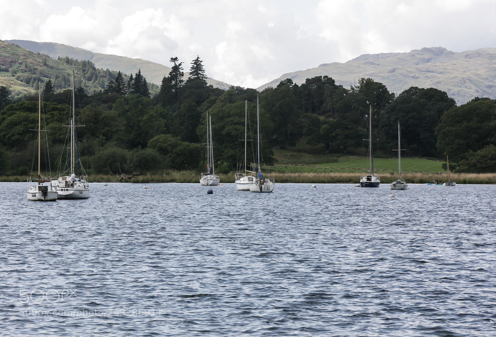 Canon EOS 450D (EOS Rebel XSi / EOS Kiss X2) sample photo. Windermere and forest photography