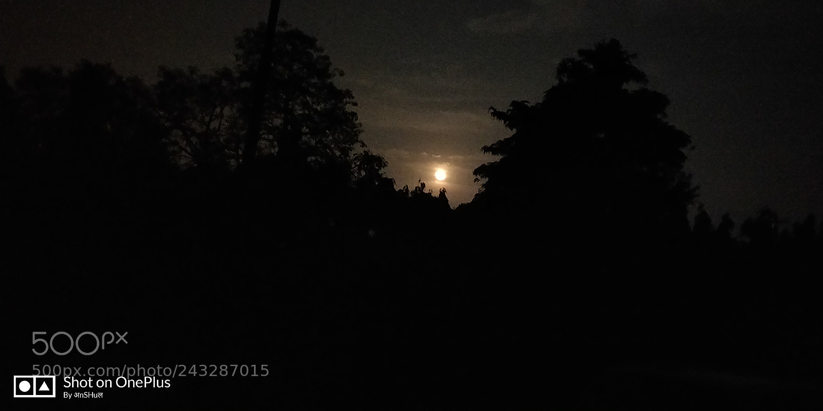 OnePlus 5T sample photo. Untitled photography
