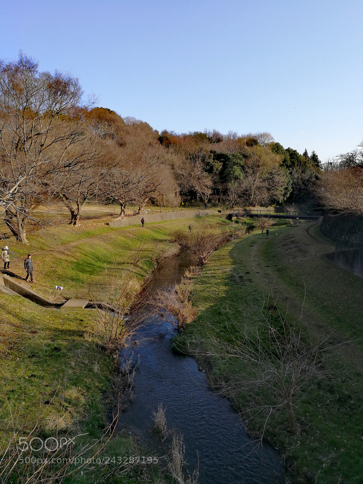 HUAWEI Mate 9 sample photo. 野川公園 photography