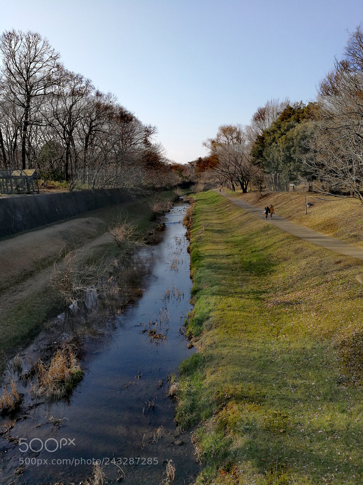 HUAWEI Mate 9 sample photo. 野川公園 photography