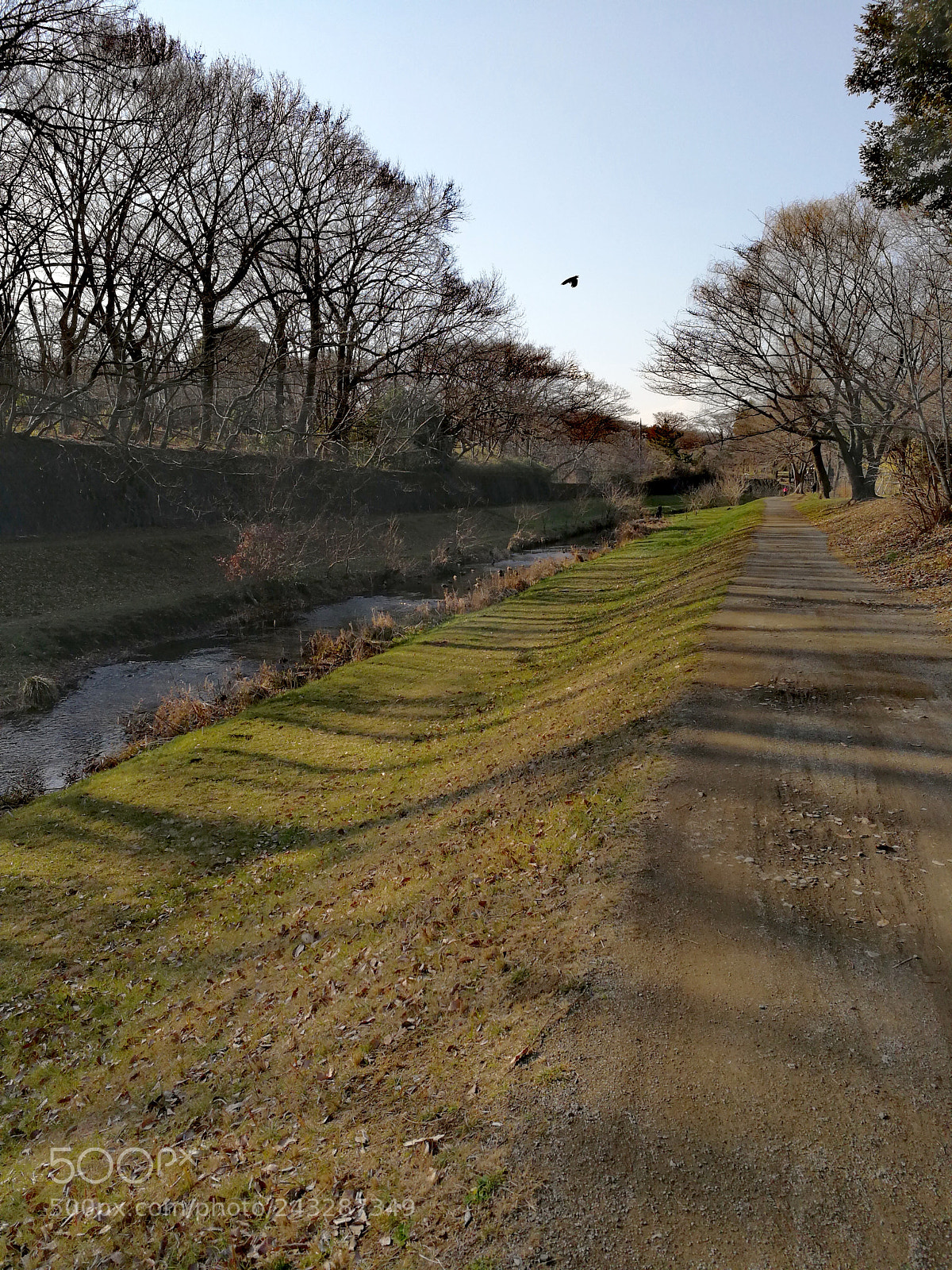 HUAWEI Mate 9 sample photo. 野川公園 photography