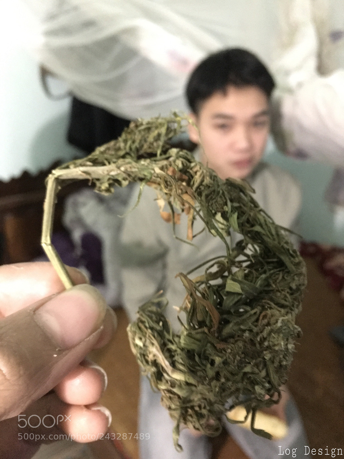 Apple iPhone 6s Plus sample photo. Cần ta photography
