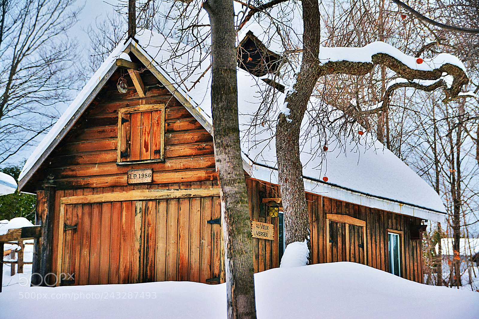 Nikon D7100 sample photo. Journée d’hiver photography