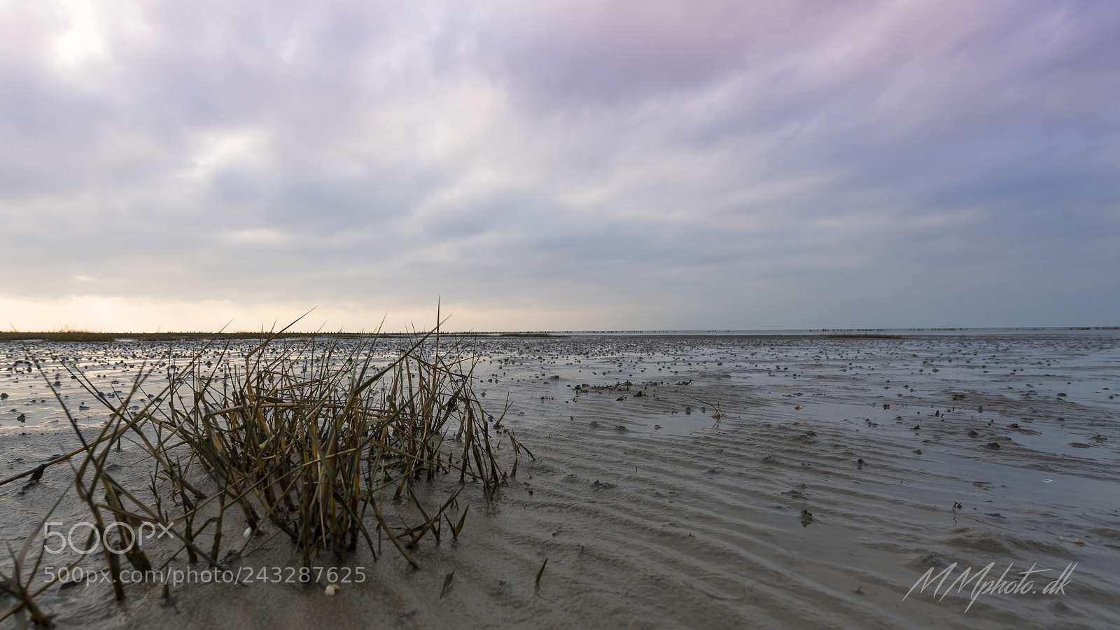 Nikon D800 sample photo. Vadehavet ribe photography