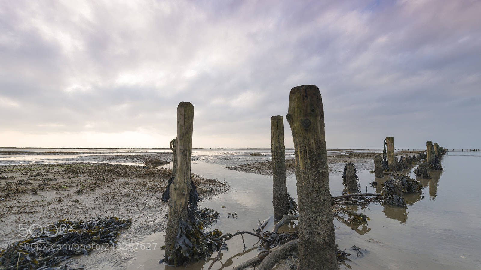 Nikon D800 sample photo. Vadehavet ribe photography