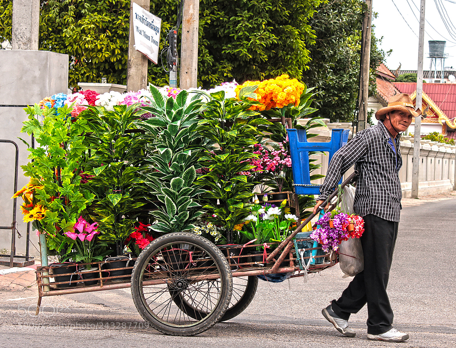 Canon EOS 550D (EOS Rebel T2i / EOS Kiss X4) sample photo. Meanwhile in thailand photography
