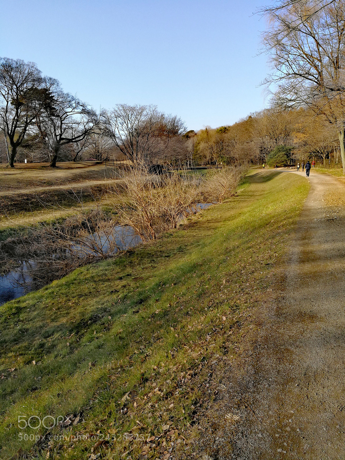 HUAWEI Mate 9 sample photo. 野川公園 photography