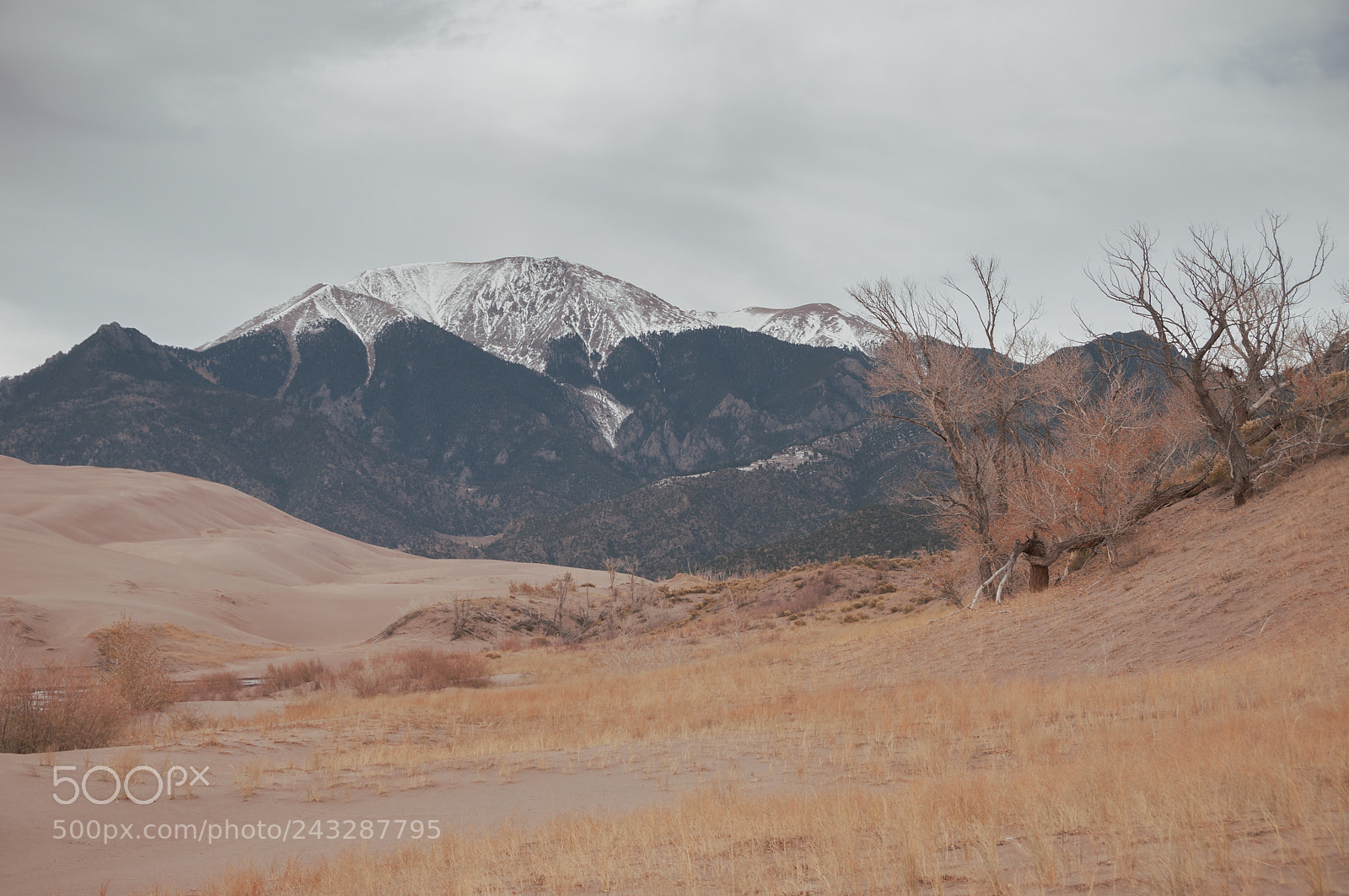 Nikon D90 sample photo. Mountain and vegetation in photography