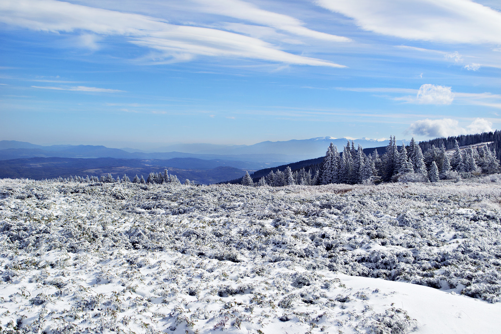Nikon D3100 sample photo. Clear sky photography