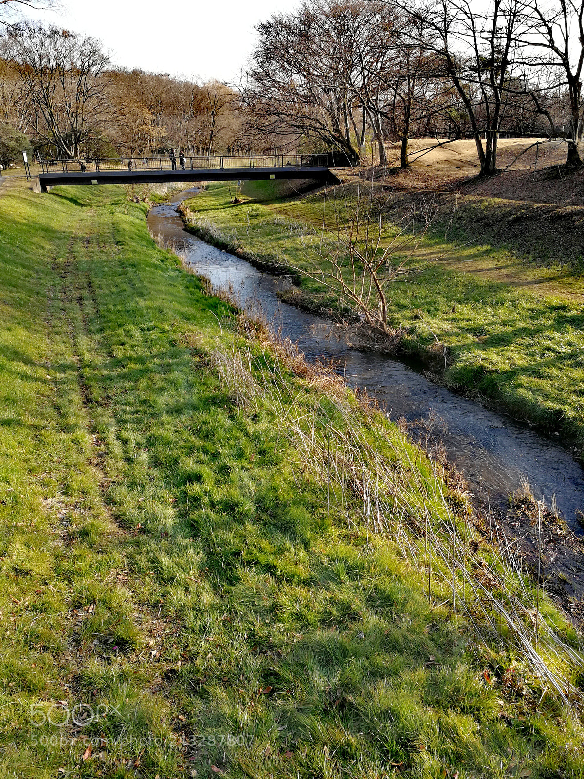 HUAWEI Mate 9 sample photo. 野川公園 photography