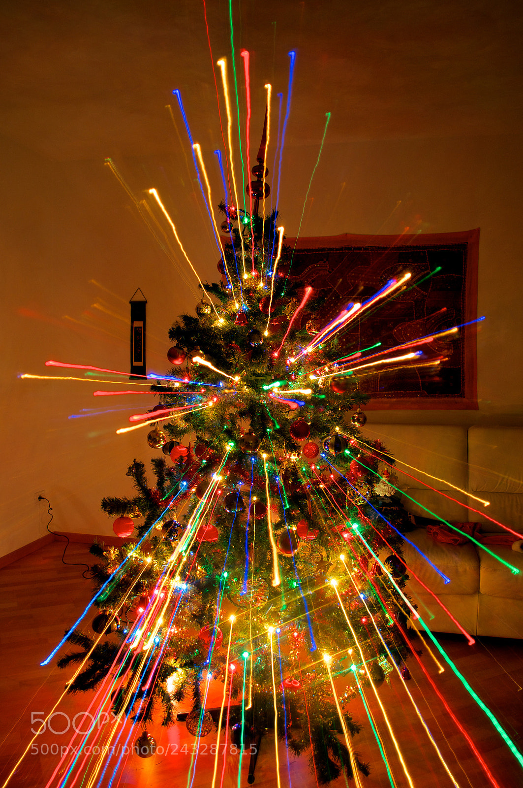 Nikon D5000 sample photo. Sparkling tree photography