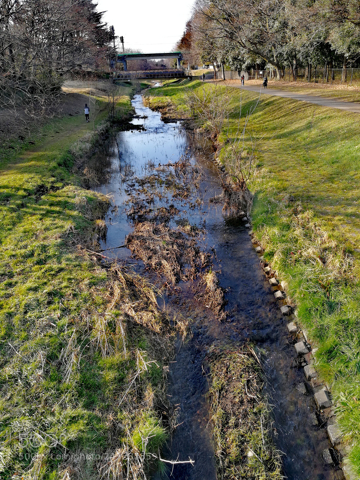 HUAWEI Mate 9 sample photo. 野川公園 photography