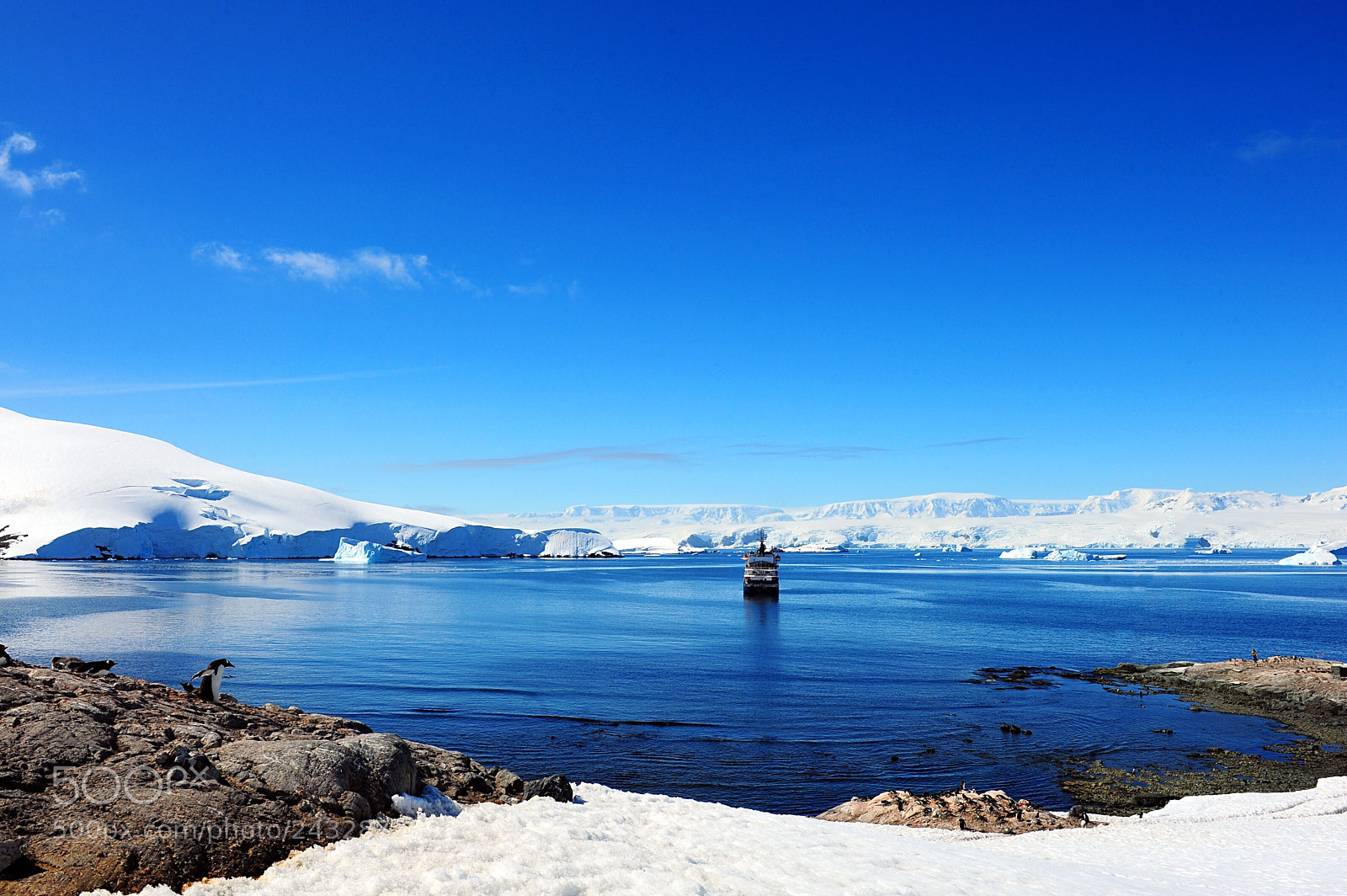 Nikon D700 sample photo. Antarctic summer photography