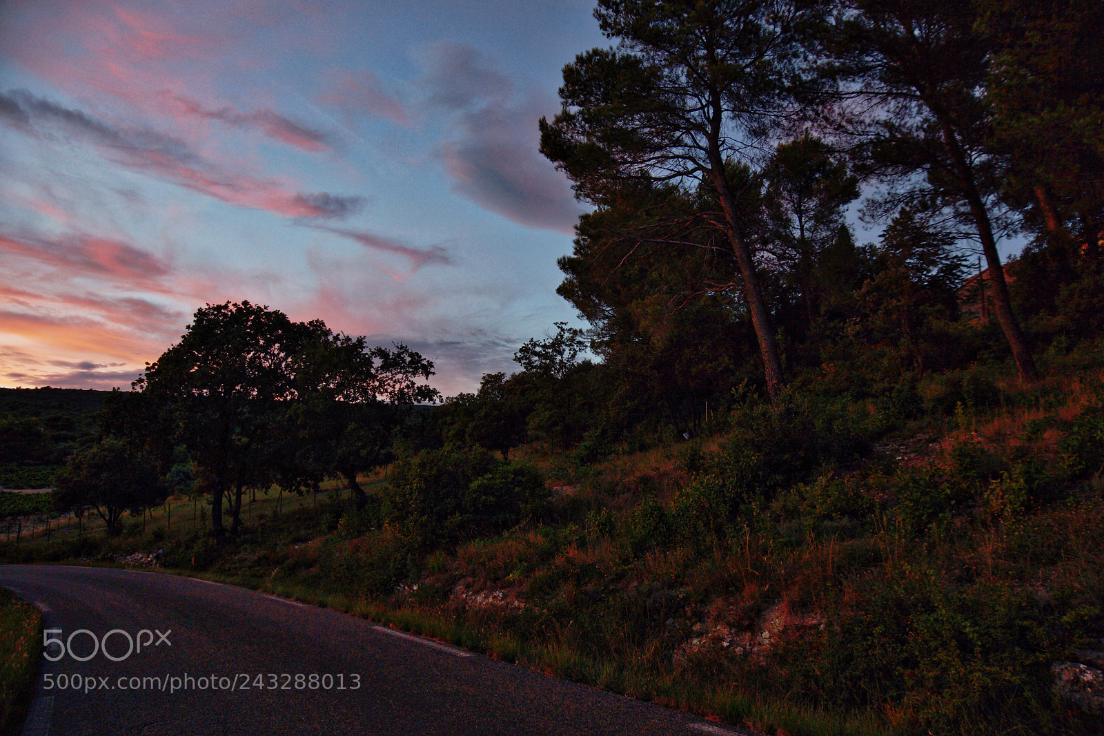 Sony SLT-A65 (SLT-A65V) sample photo. Nature at sunset photography