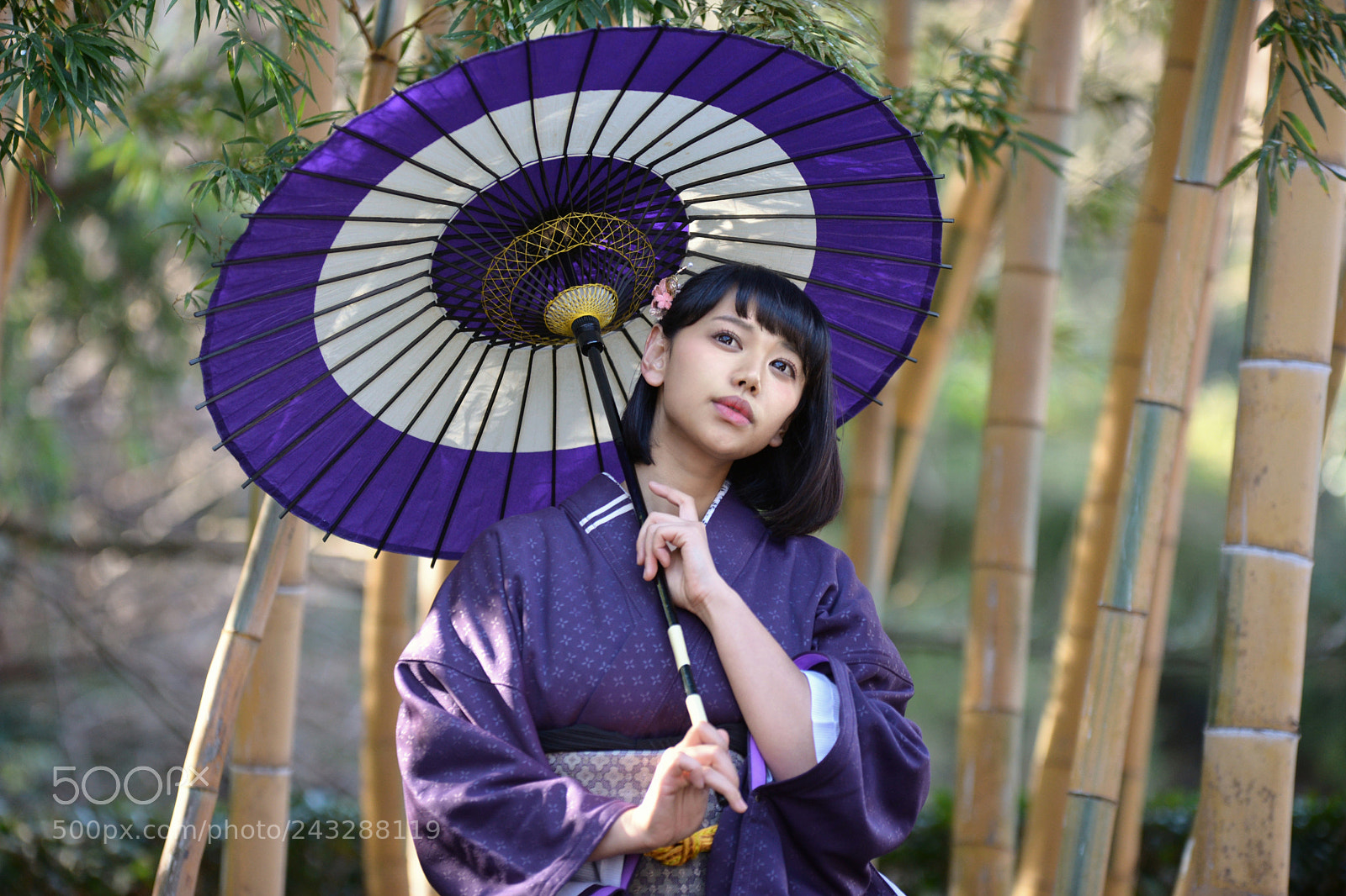 Nikon D610 sample photo. Kokoro 5 photography