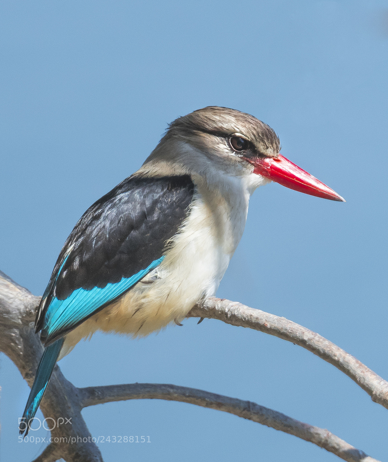 Nikon D500 sample photo. Time out from fishing photography