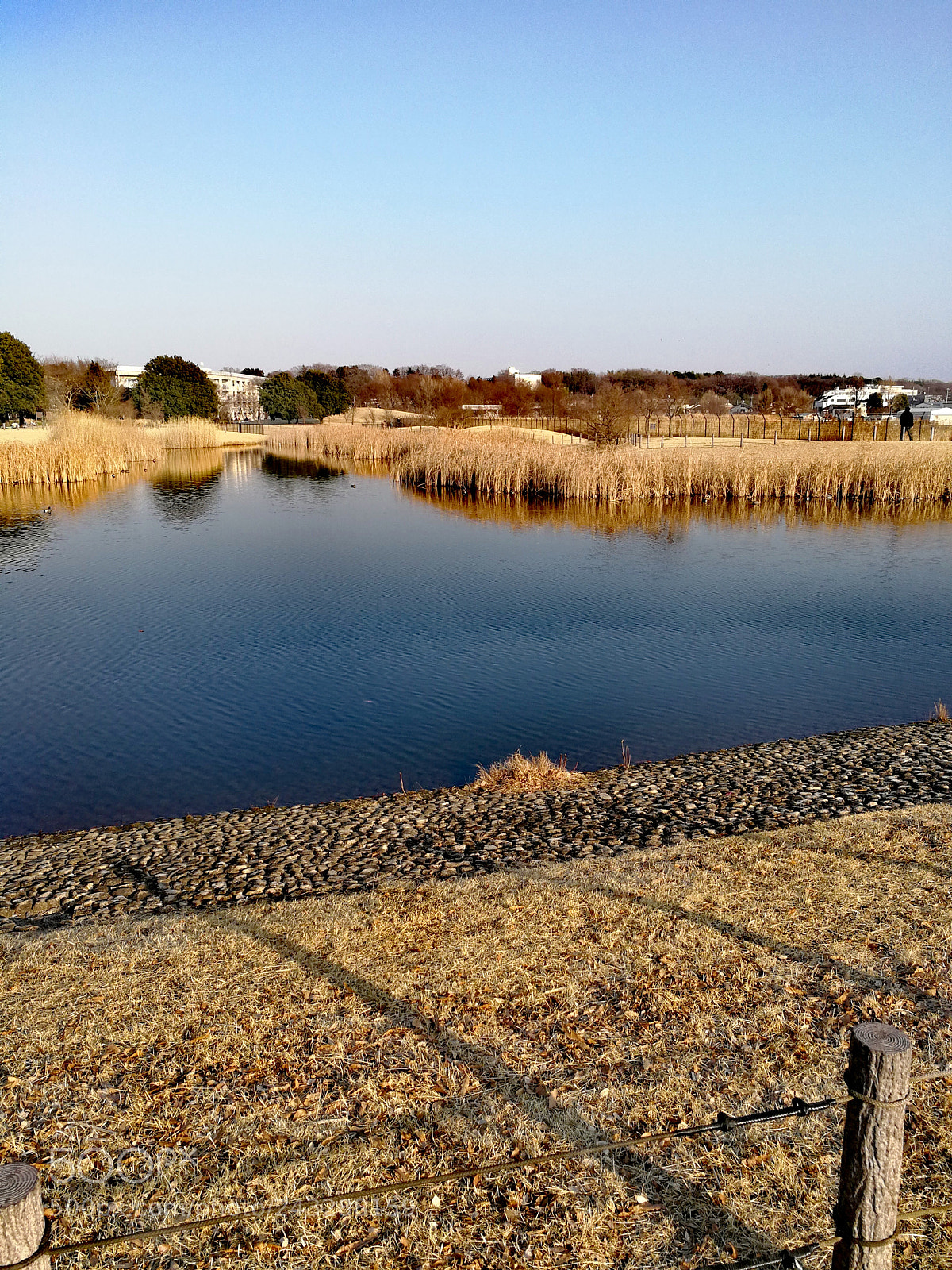 HUAWEI Mate 9 sample photo. 武蔵野の森公園 photography