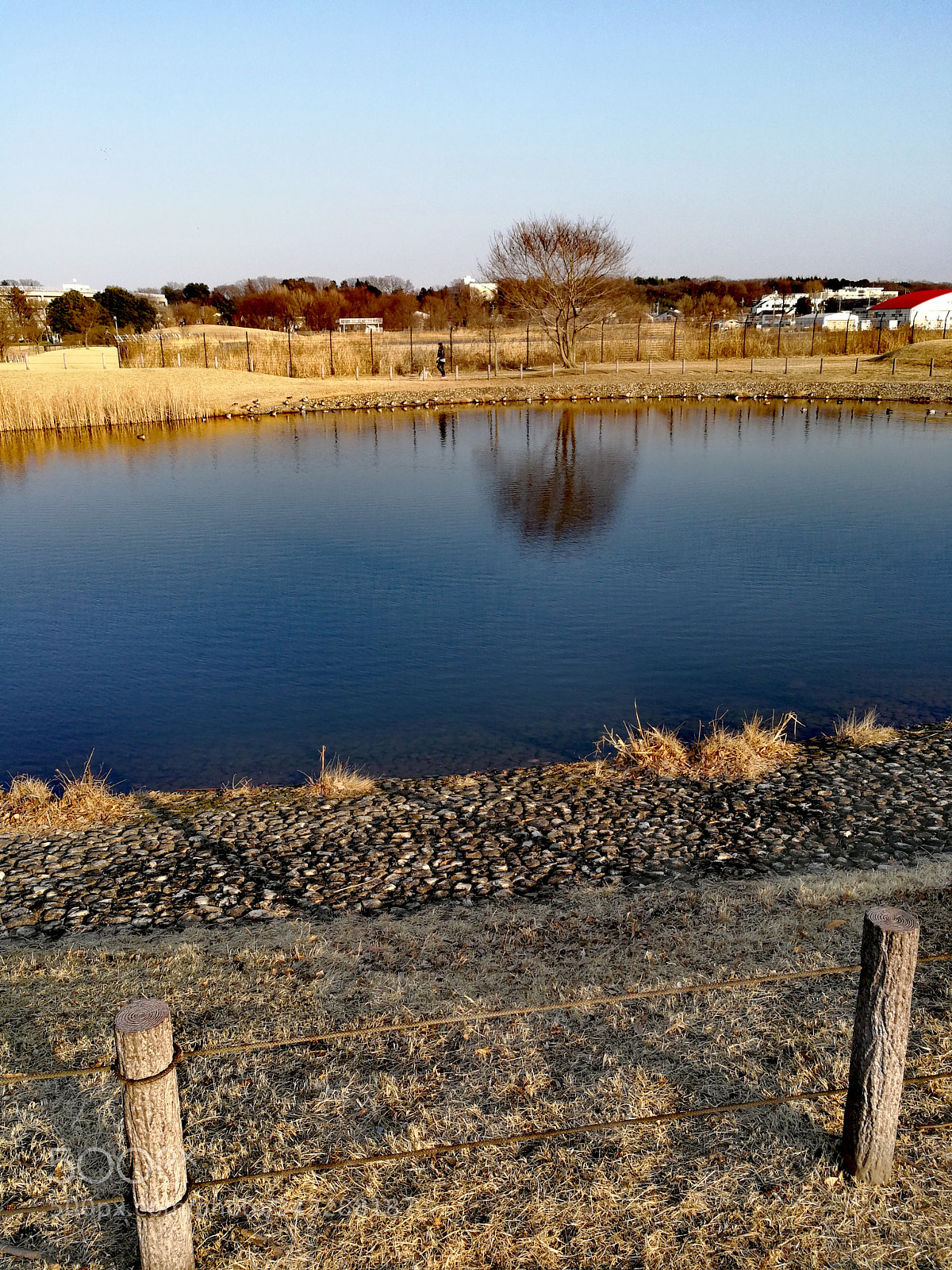 HUAWEI Mate 9 sample photo. 武蔵野の森公園 photography