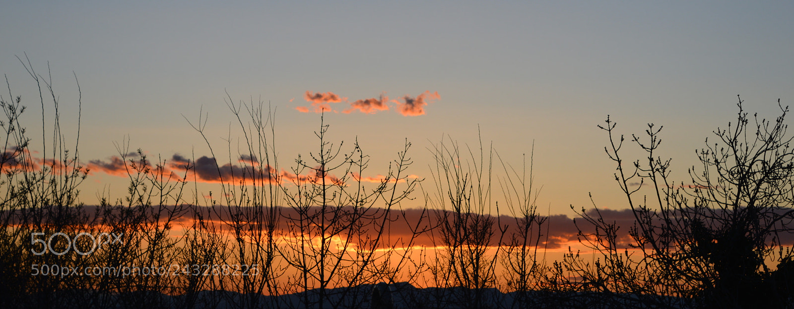 Nikon D3200 sample photo. Down photography