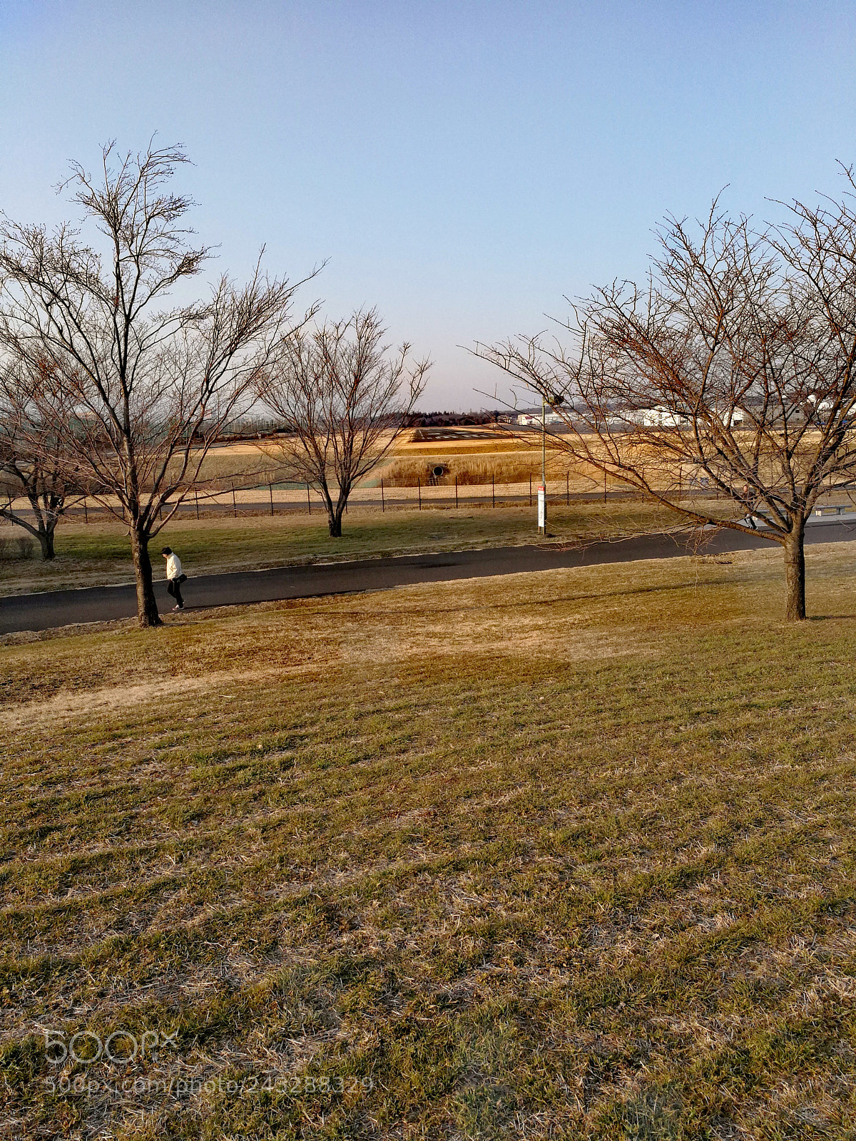 HUAWEI Mate 9 sample photo. 調布飛行場 photography
