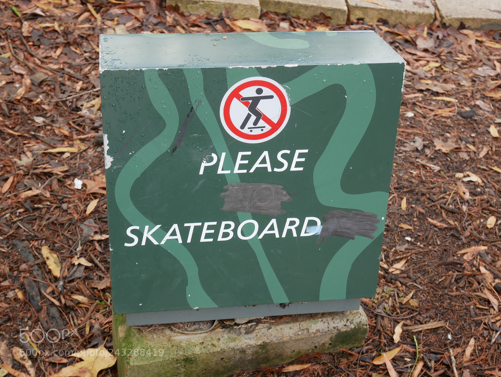 Panasonic Lumix DMC-GX85 (Lumix DMC-GX80 / Lumix DMC-GX7 Mark II) sample photo. Please skateboard photography