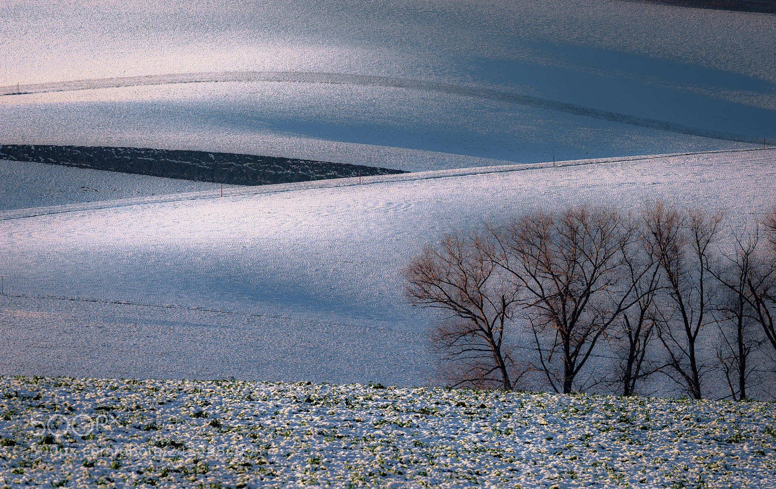 Nikon D810 sample photo. Passing towards winter photography