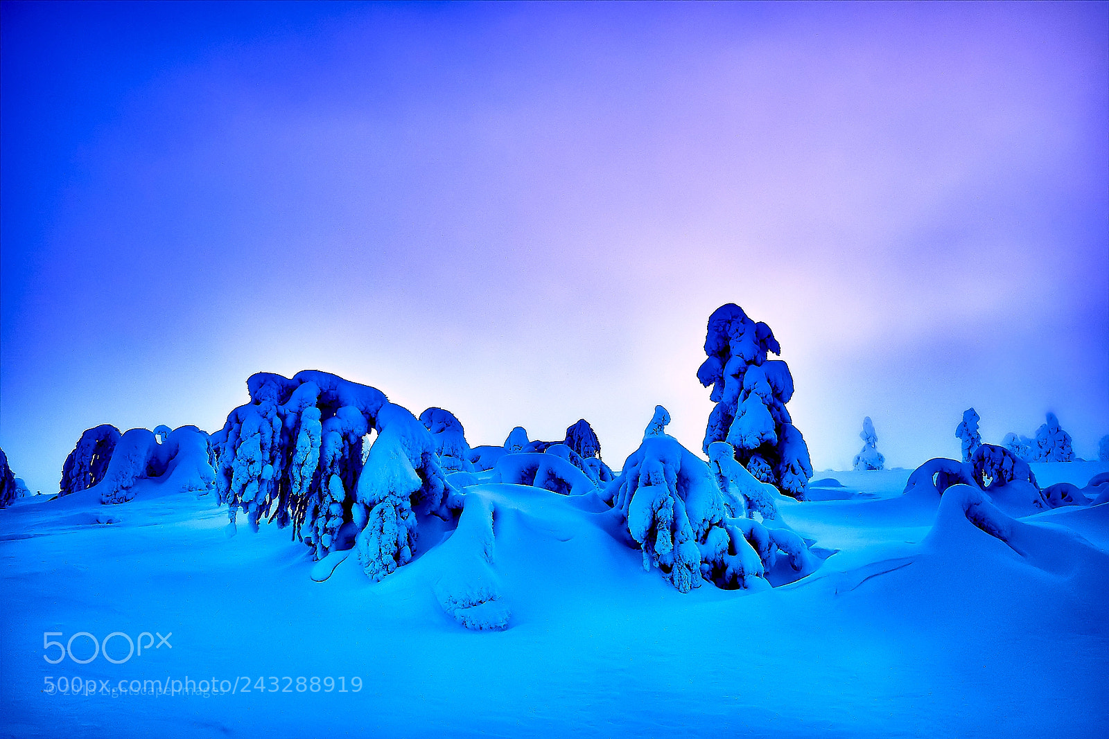 Fujifilm X-T1 sample photo. Pyhä-luosto national park photography