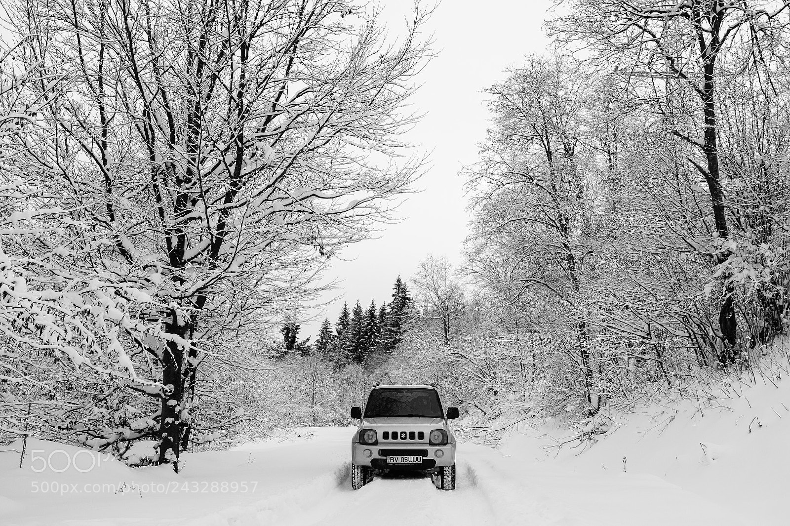 Sony SLT-A58 sample photo. Out in the cold photography