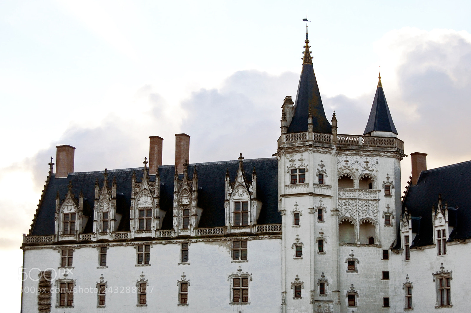 Nikon D40 sample photo. Ch teau des ducs photography