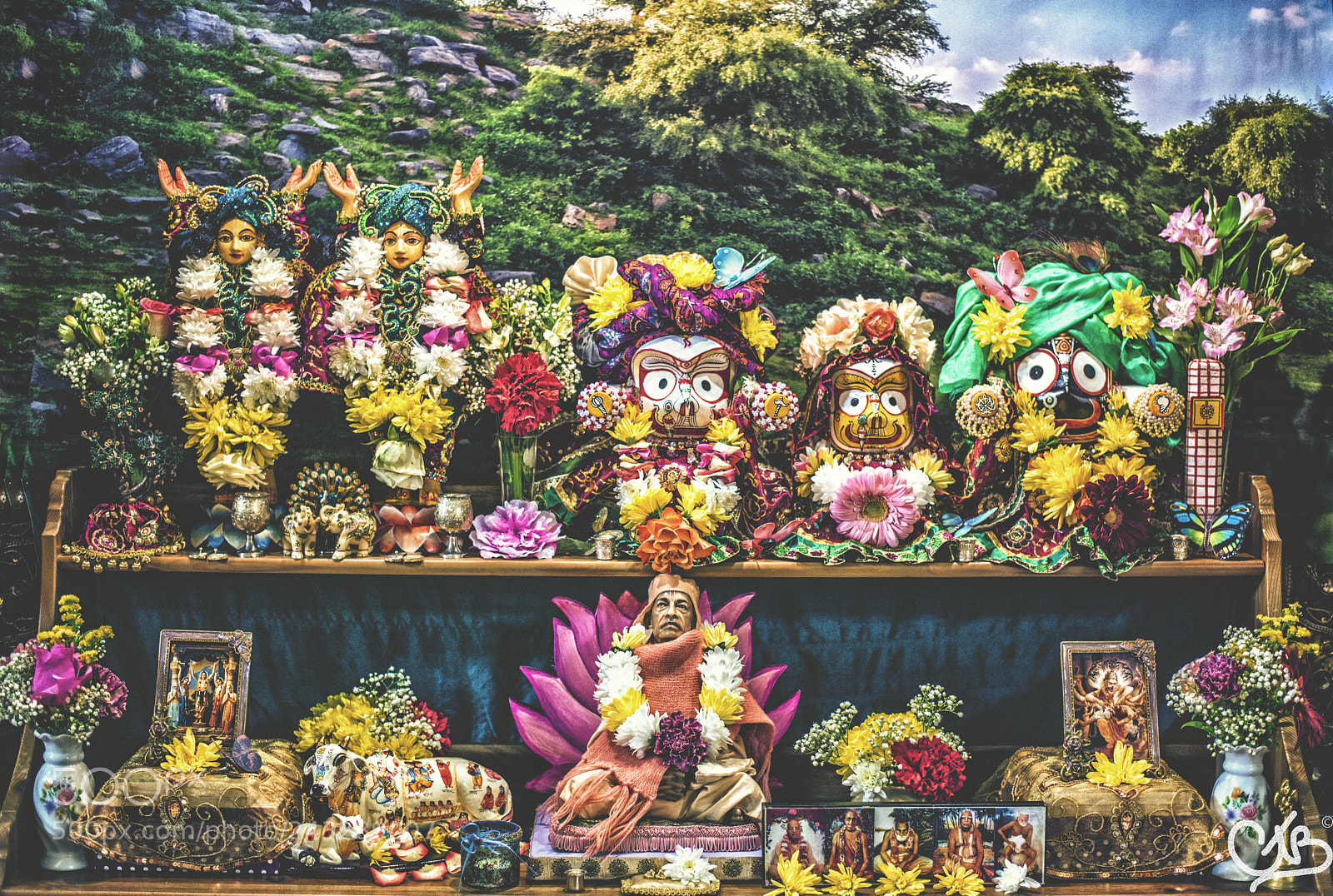 Nikon D810 sample photo. #harekrishna. photography