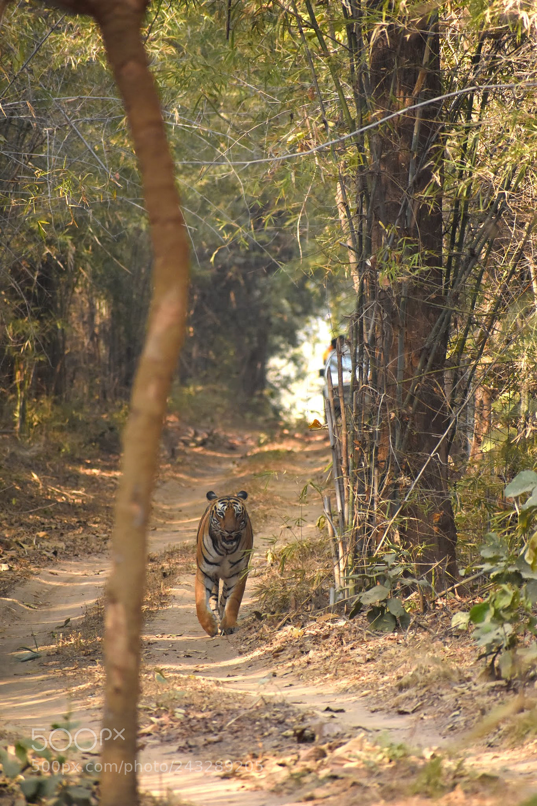Nikon D7200 sample photo. Untitled photography