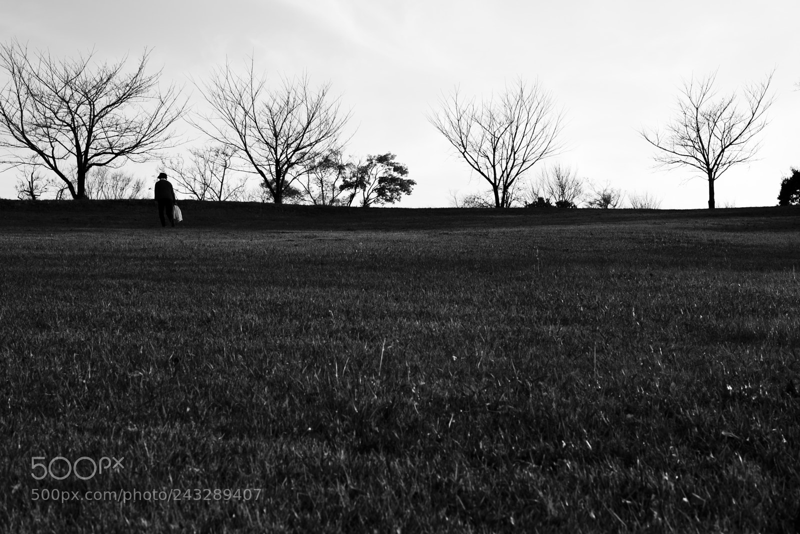 Fujifilm X-Pro2 sample photo. Untitled photography