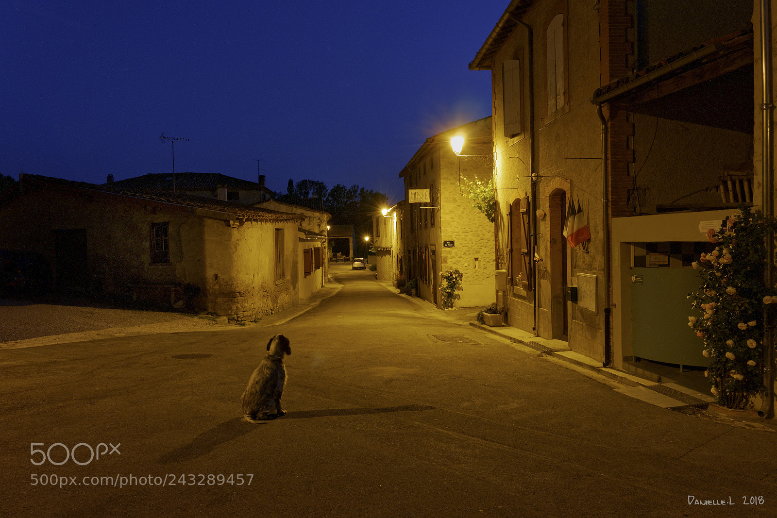 Panasonic Lumix DMC-G5 sample photo. La nuit tombe sur photography
